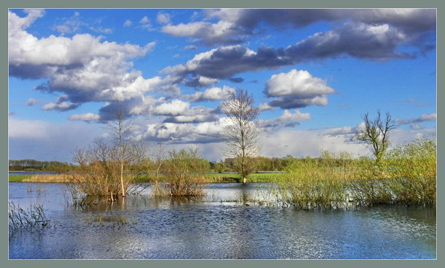 Вода затопила луга. Весенний разлив реки Шерна. Весеннее половодье. Весенний пейзаж с рекой.